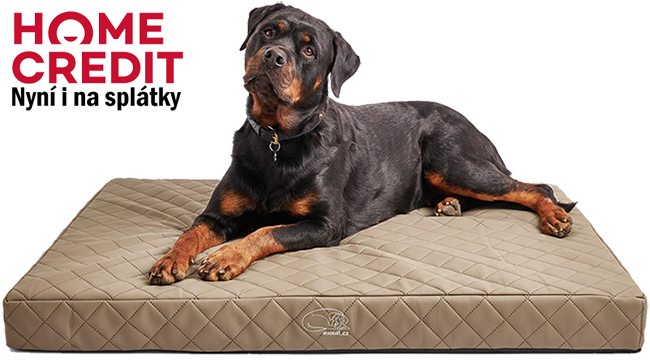 Gret1 upr barva home credit web png